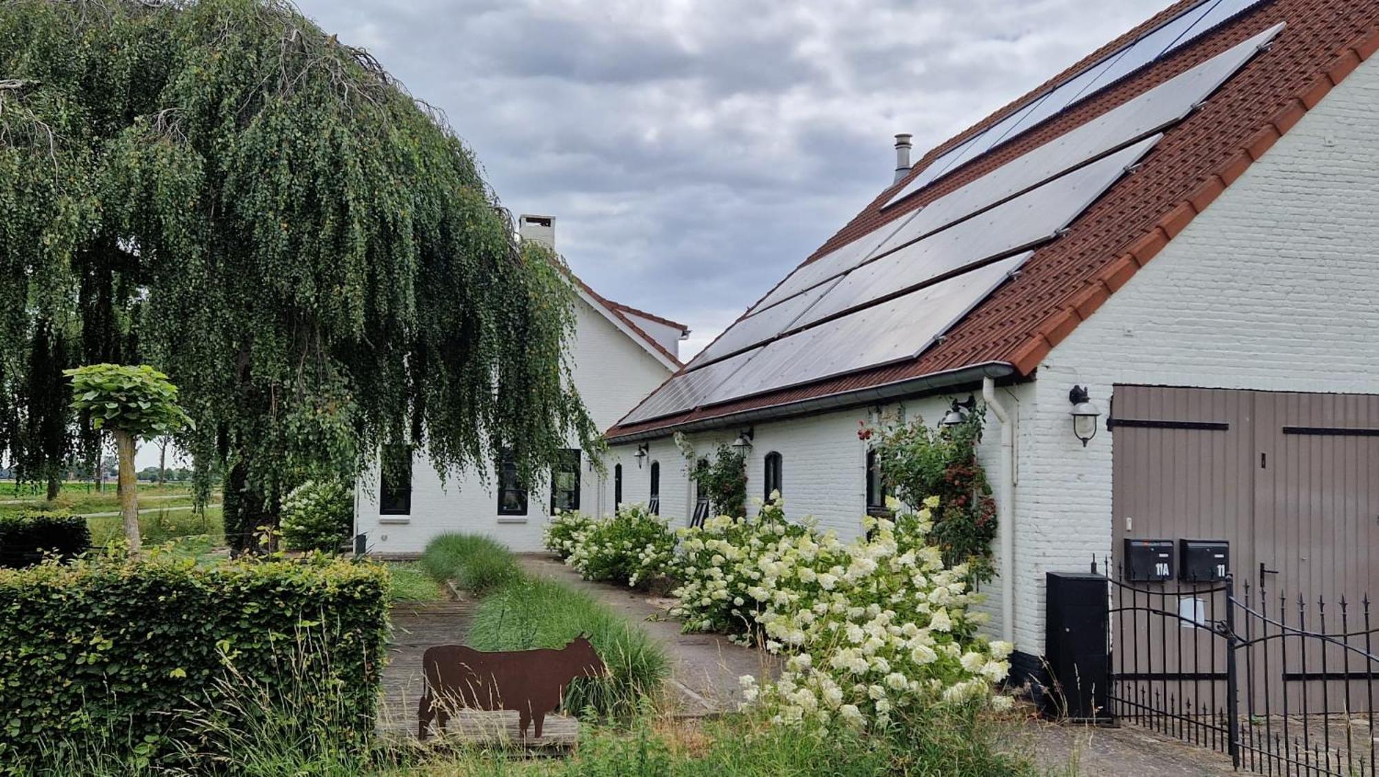 Bed and Breakfast Mariafarm à Zevenbergen Extérieur photo
